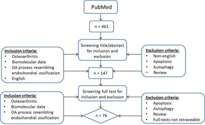 Recent Insights into the Contribution of the Changing Hypertrophic Chondrocyte Phenotype in the Development and Progression of Osteoarthritis